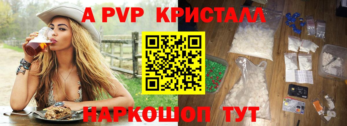 Альфа ПВП СК КРИС Надым