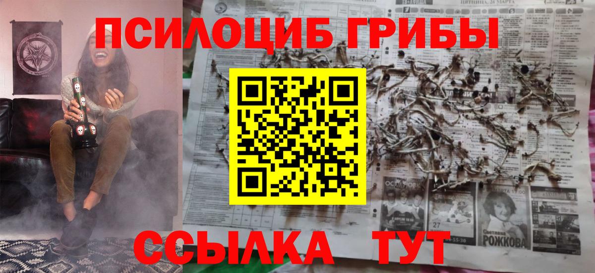 Псилоцибиновые грибы Cubensis Надым