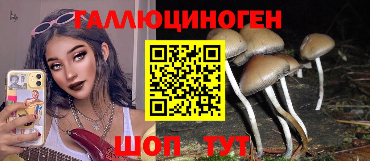 Галлюциногенные грибы мицелий  Галлюциногенные грибы ЛСД  Надым  Вход с VPN 