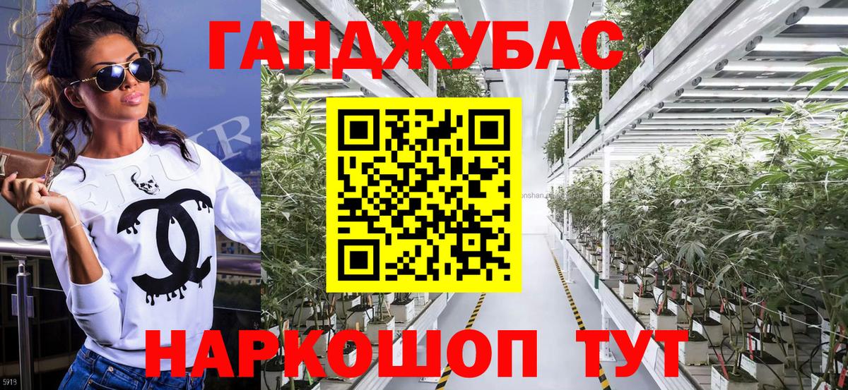 Конопля сатива Надым